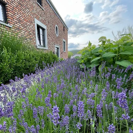 홈스테이 De Luxe Proche Du Circuit - Francorchamps *