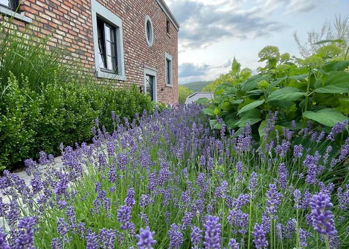 Alloggio in famiglia De Luxe Proche Du Circuit - Francorchamps *